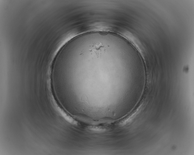 X0000094801235200711161450