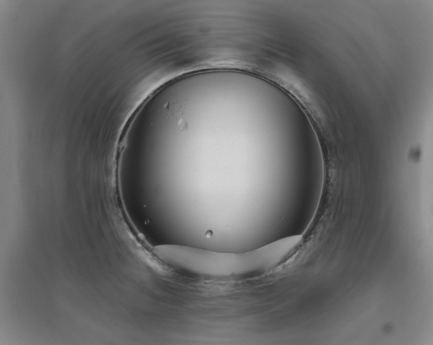 X0000094801236200711161450