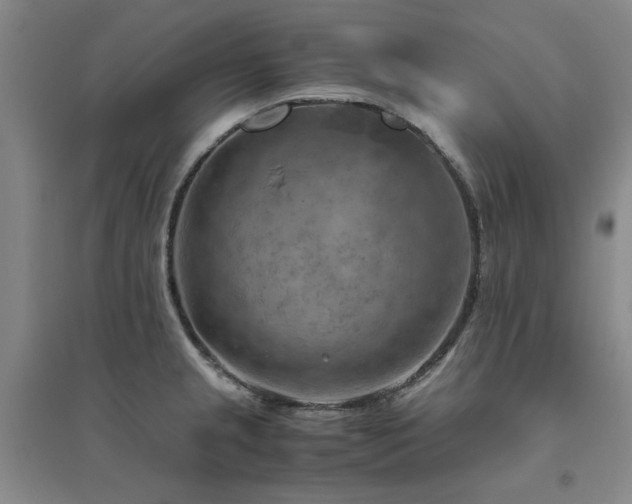 X0000094801237200711161450