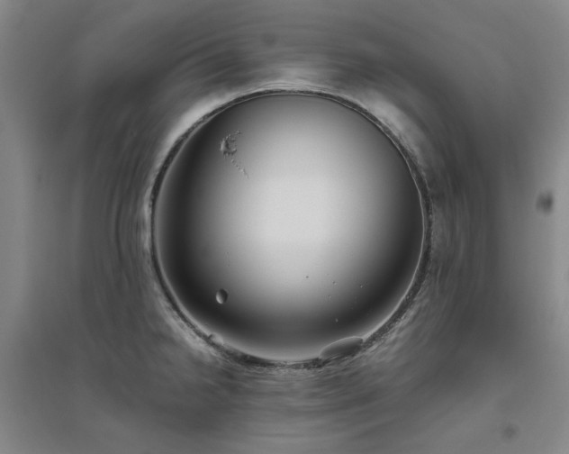 X0000094801238200711161450