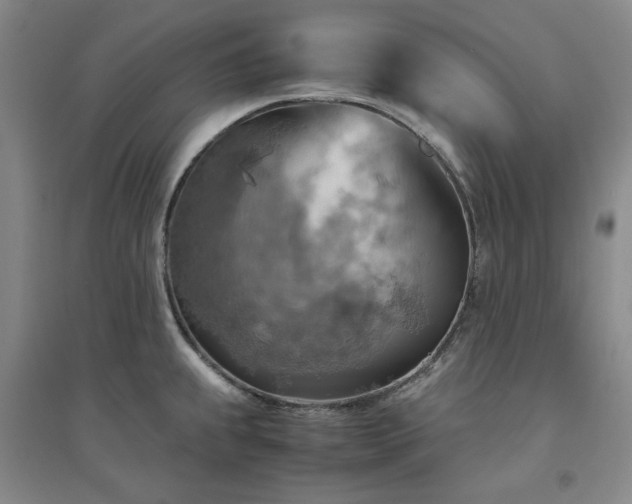 X0000094801239200711161450