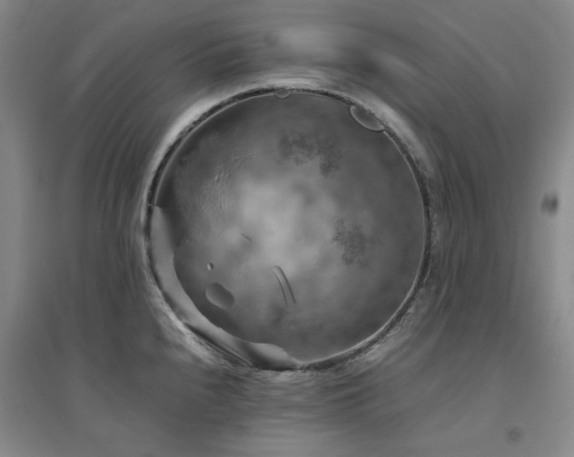 X0000094801240200711161450