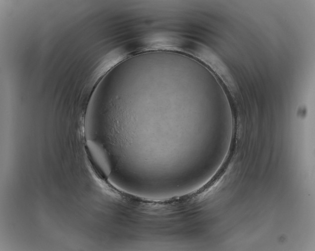 X0000094801241200711161450