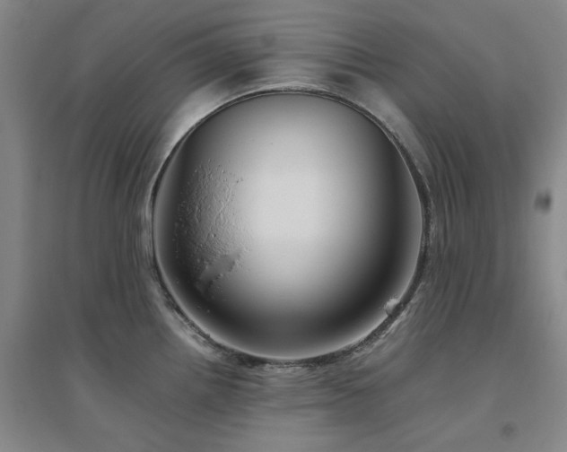 X0000094801242200711161450