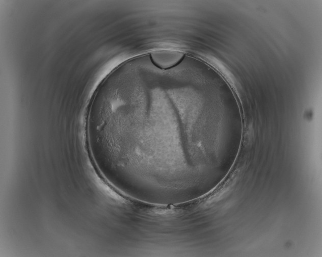 X0000094801243200711161450