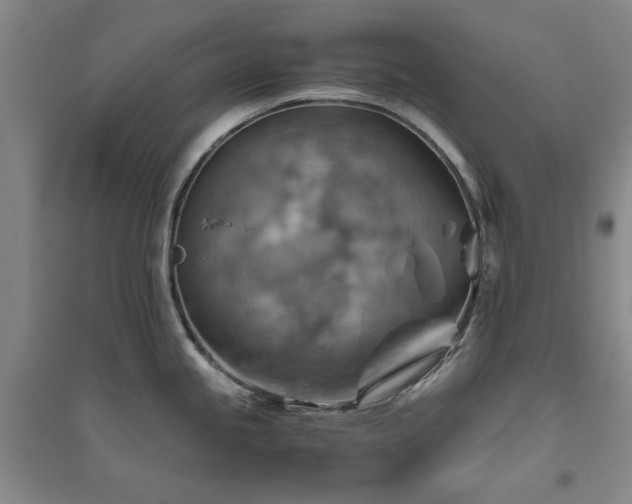 X0000094801245200711161450