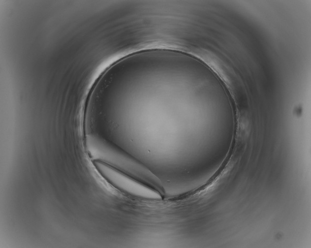 X0000094801246200711161450