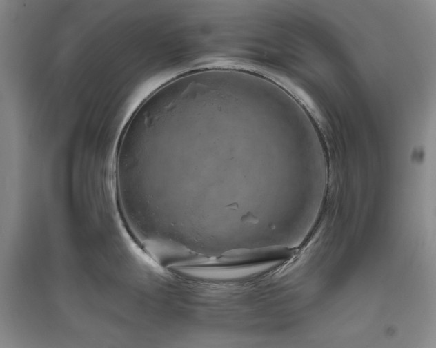 X0000094801247200711161450