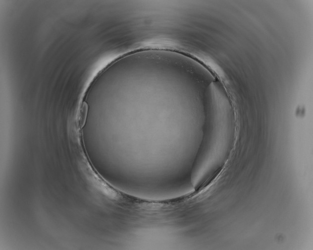 X0000094801248200711161450