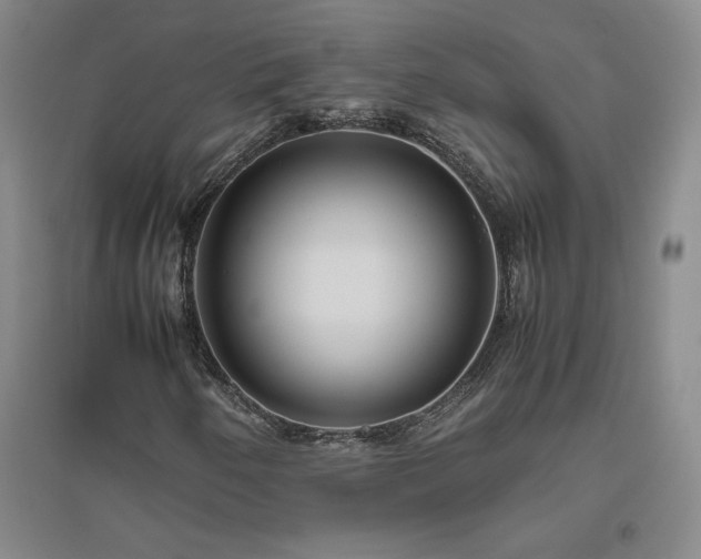X0000094801250200711161449