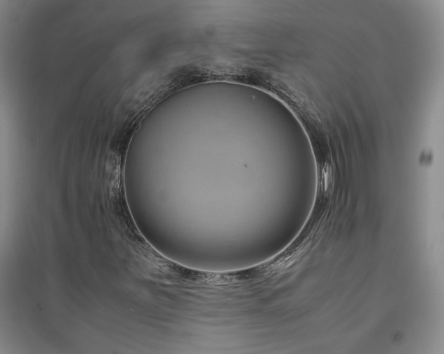 X0000094801251200711161449