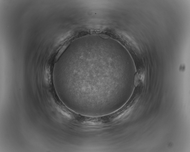 X0000094801252200711161449