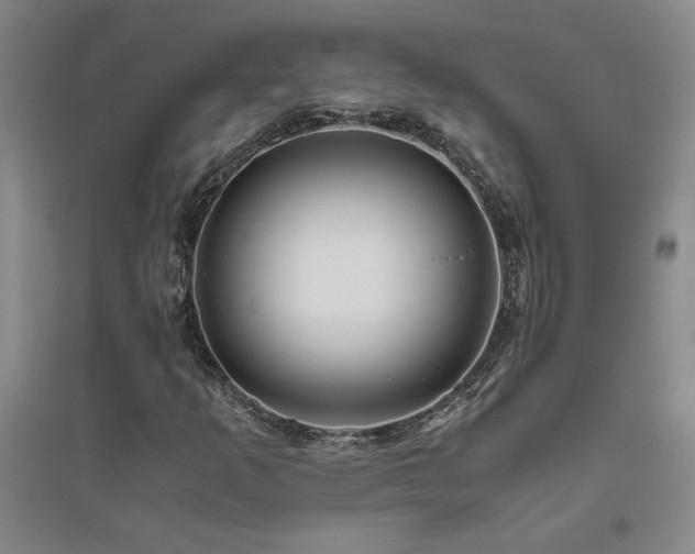 X0000094801253200711161449