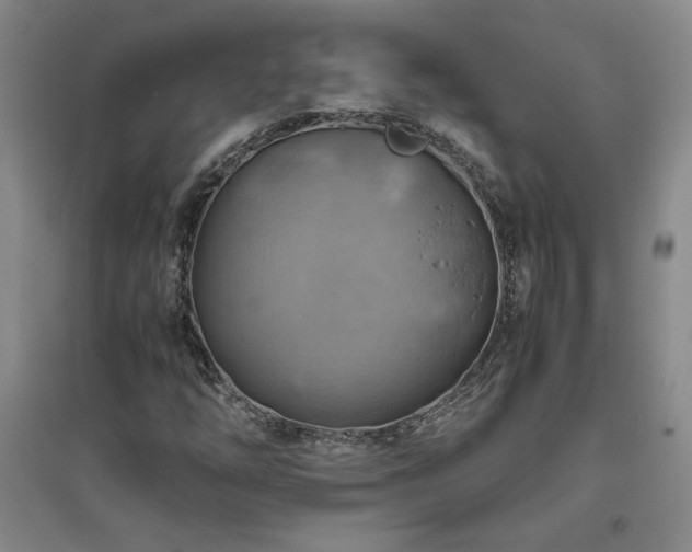 X0000094801254200711161449