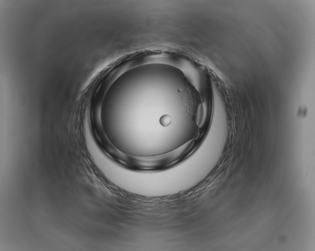 X0000094801256200711161449