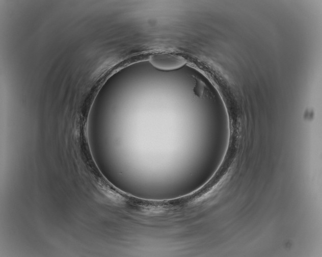 X0000094801257200711161449