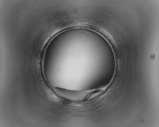 X0000094801260200711161449