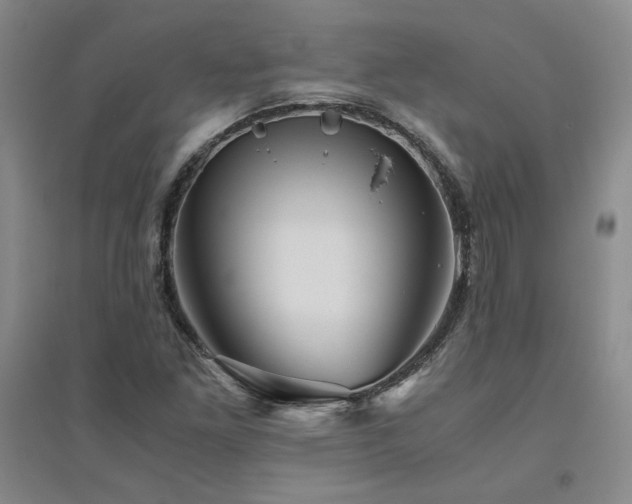 X0000094801261200711161449