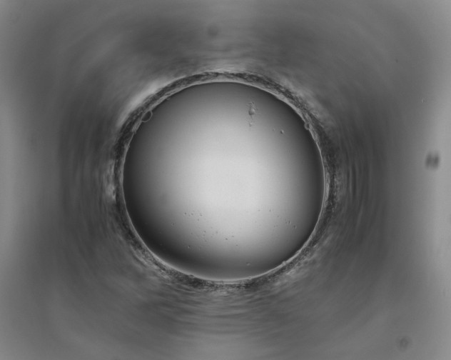 X0000094801262200711161449