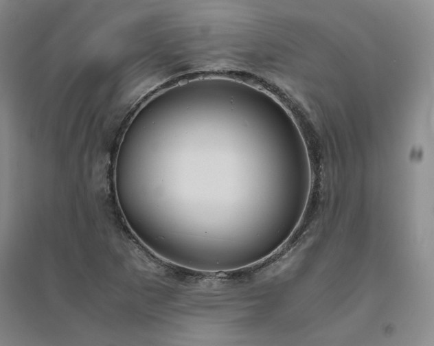 X0000094801265200711161449