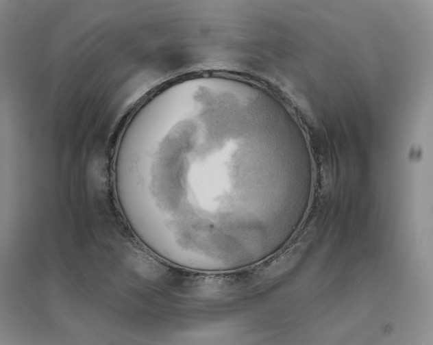 X0000094801266200711161449