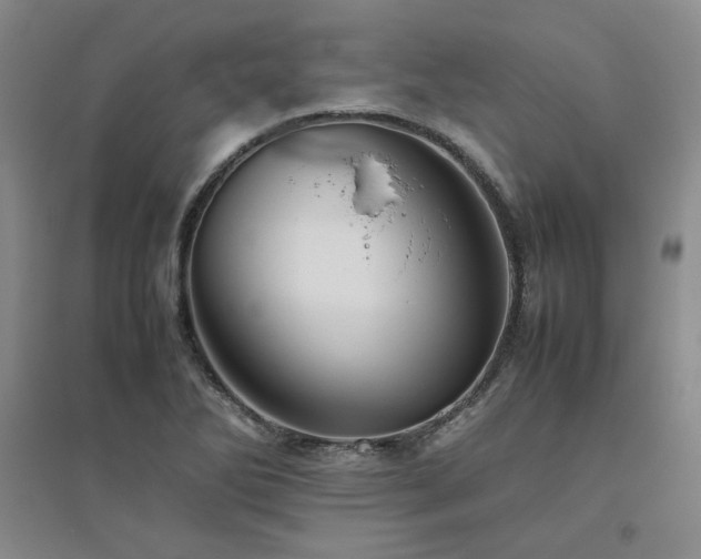 X0000094801270200711161449