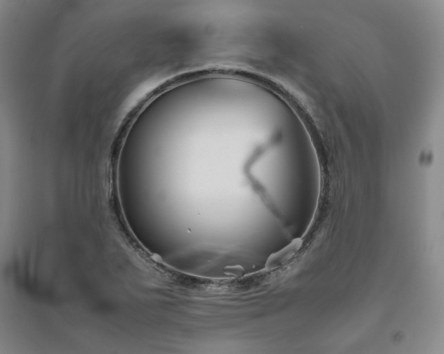 X0000094801271200711161449