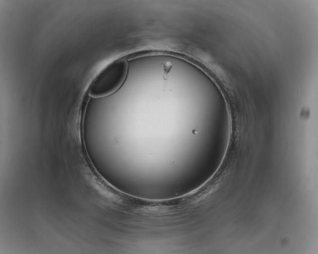 X0000094801272200711161449