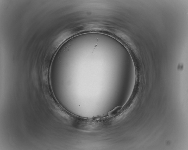X0000094801273200711161449