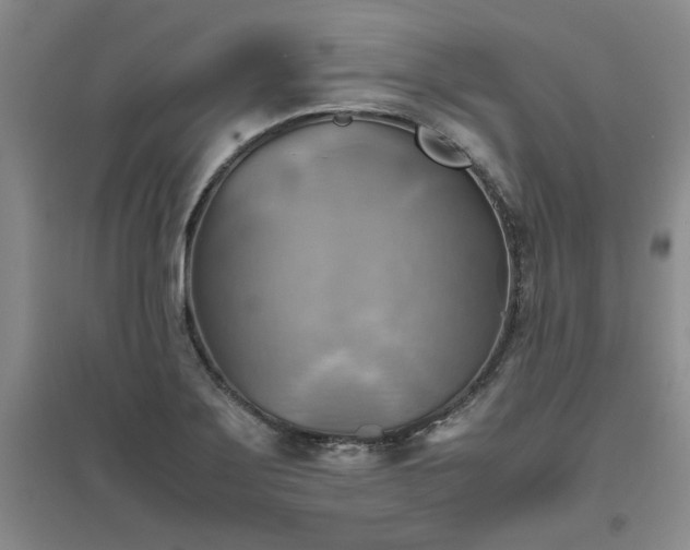 X0000094801275200711161449