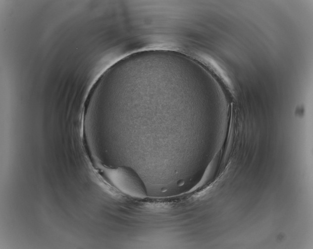 X0000094801276200711161449