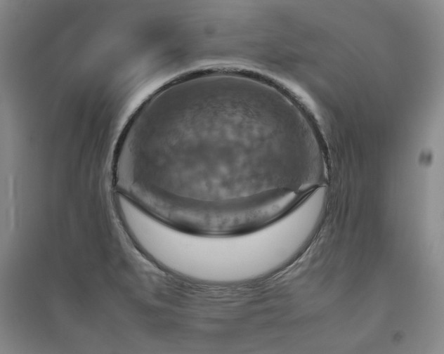 X0000094801279200711161449