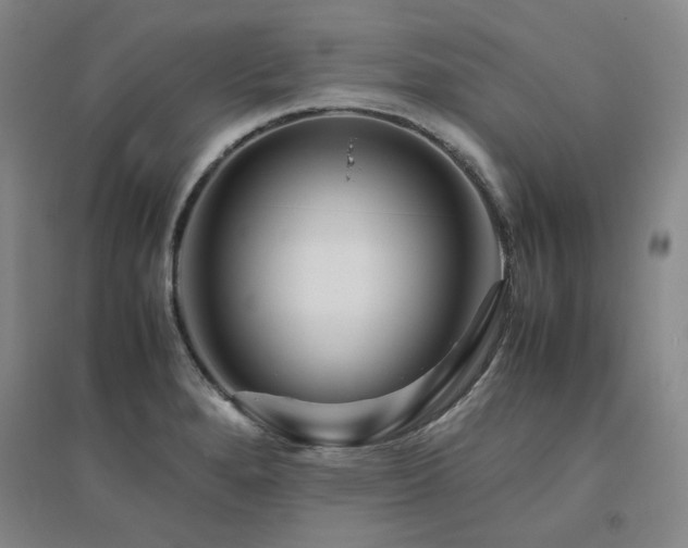 X0000094801280200711161449