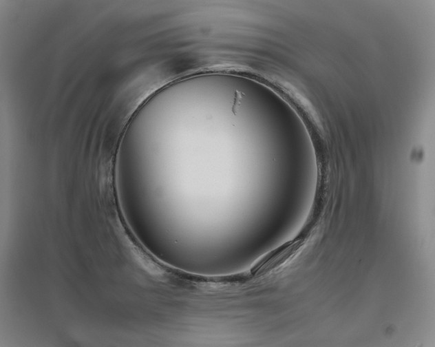 X0000094801281200711161449