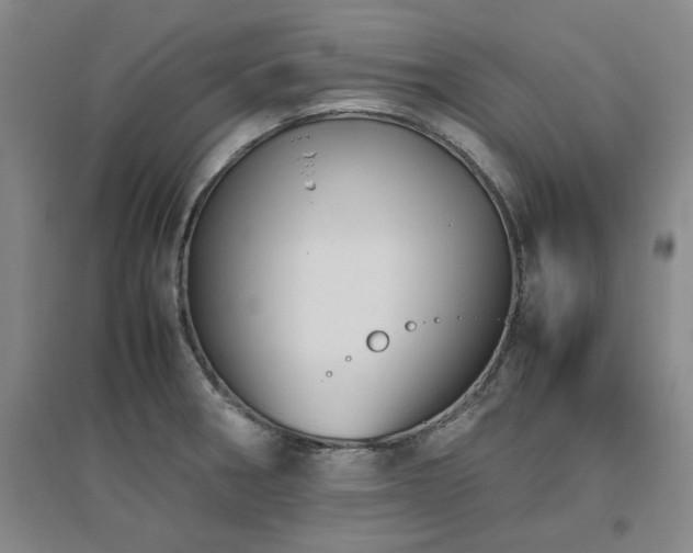 X0000094801282200711161449