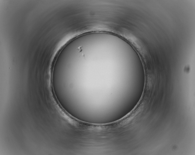X0000094801286200711161449