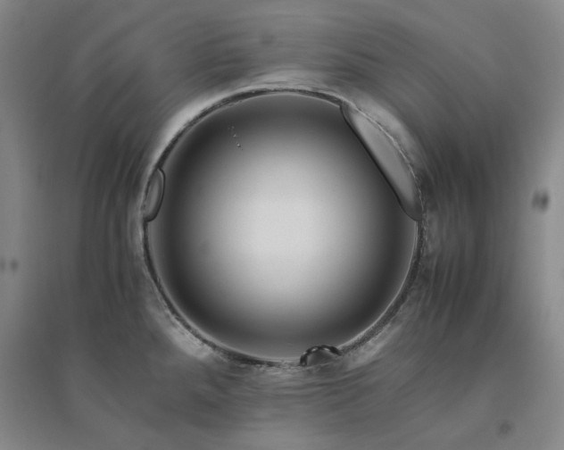 X0000094801288200711161449