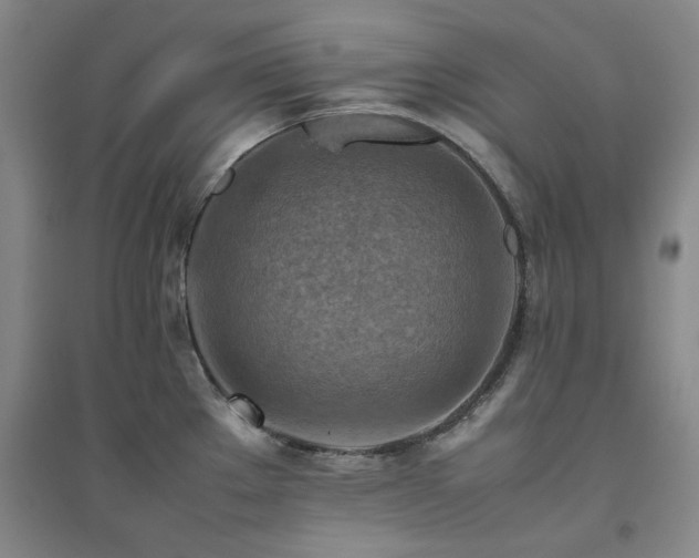 X0000094801289200711161449