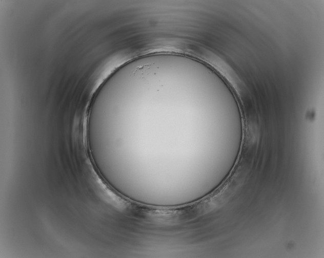 X0000094801290200711161449