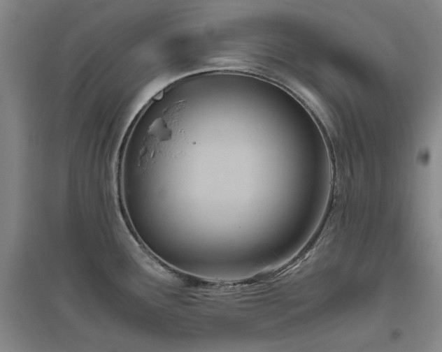 X0000094801291200711161449