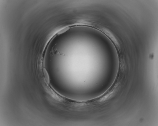 X0000094801292200711161449