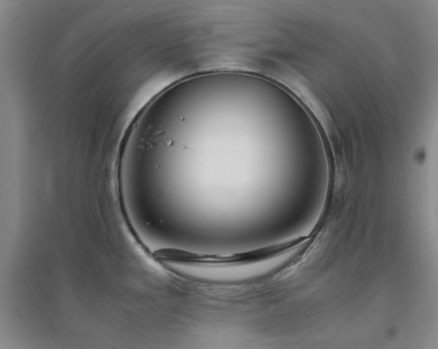 X0000094801293200711161449