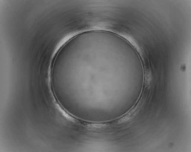 X0000094801294200711161449