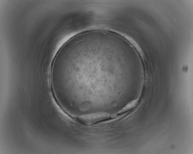 X0000094801295200711161449