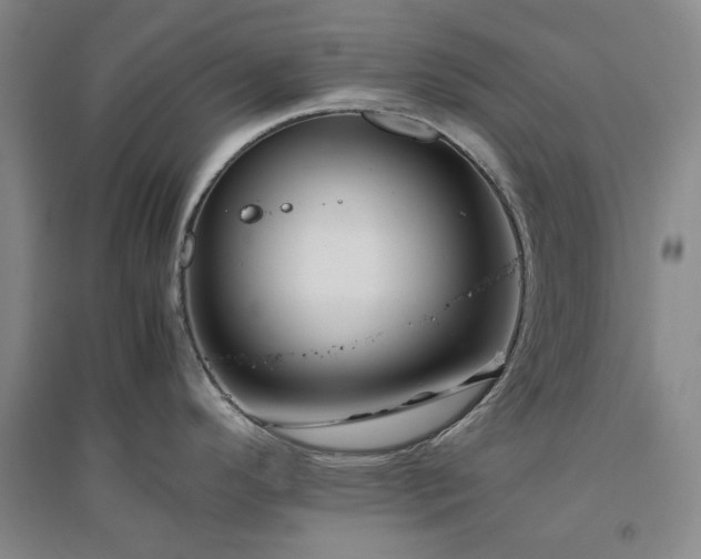 X0000094801296200711161449