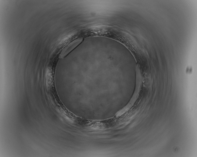 X0000094801298200711161448