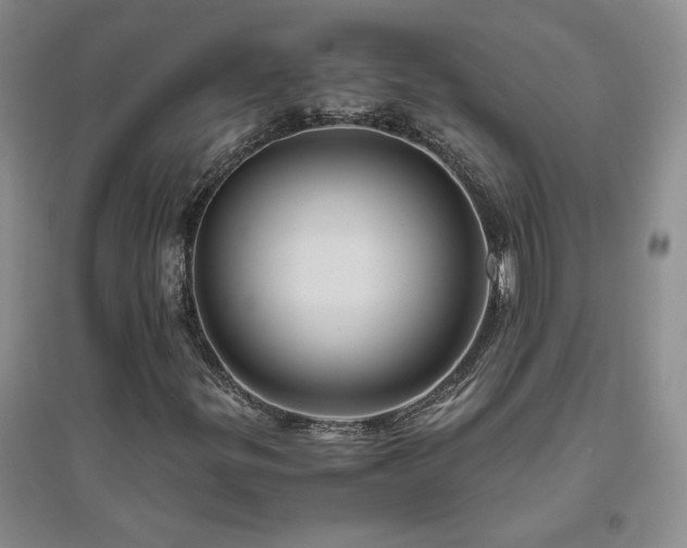 X0000094801299200711161448
