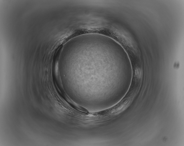 X0000094801300200711161448