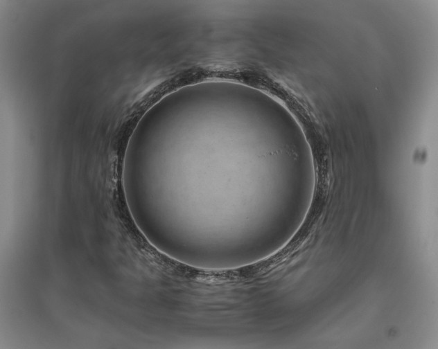 X0000094801301200711161448