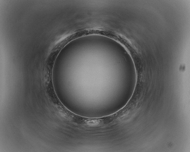 X0000094801303200711161448